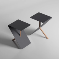 Modern Minimalist Stainless Steel Side Table Black L40*W30*H55CM