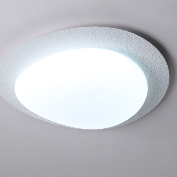 Resin White LED Patch Goose Egg Ceiling Lamp Acrylic