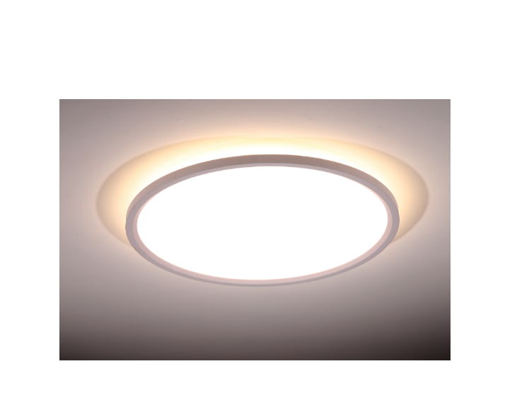 Unique Diffuse Reflection Aluminum Acrylic Rotundity Dumb White Ceiling Lamp