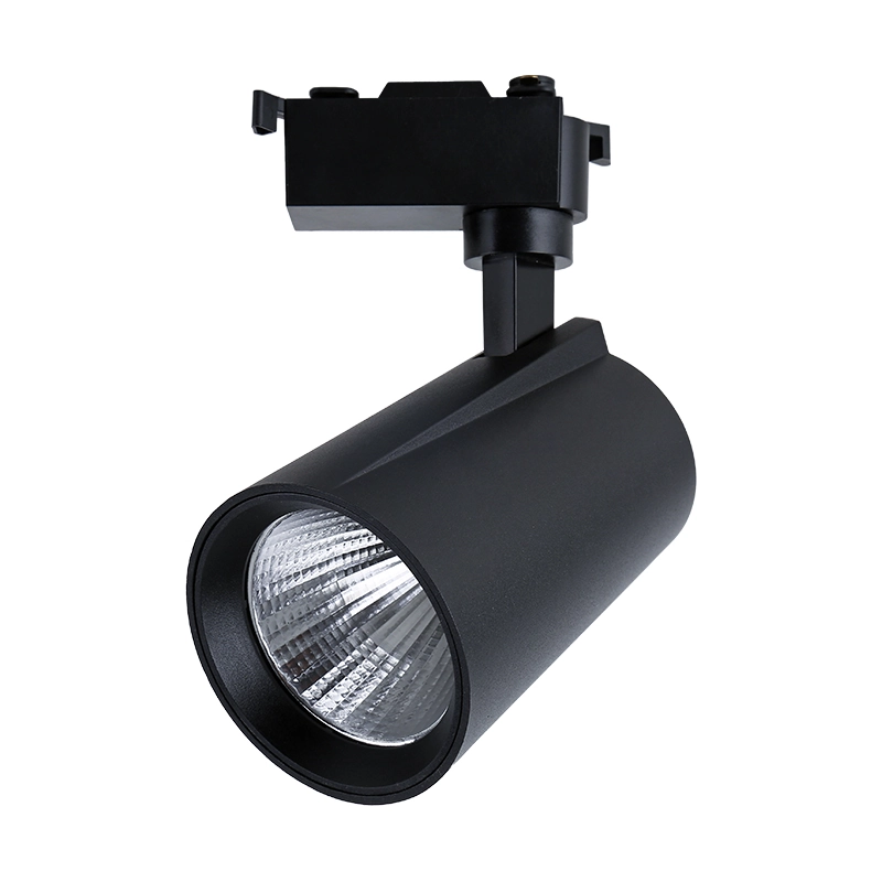 Modern Die-Casted Aluminum 30W LED COB Track Light