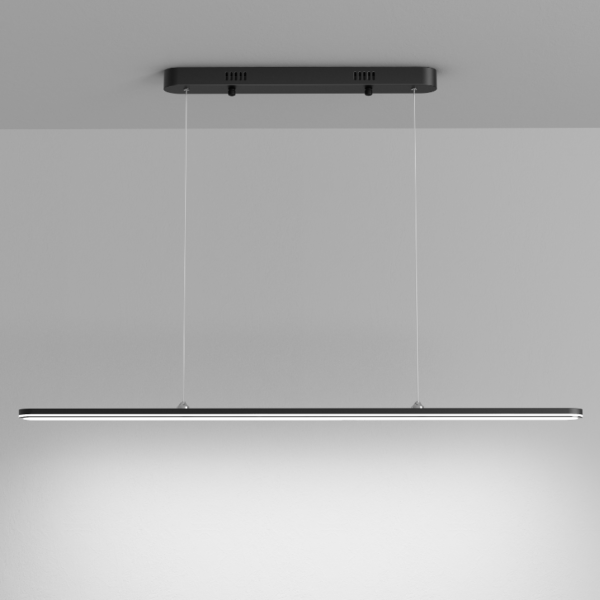 Unique Chandelier LED lighting fixtures Black Pendant Lamp