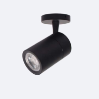 Modern Black 20W/30W Ceiling LED COB Surface Mounted Spotlight