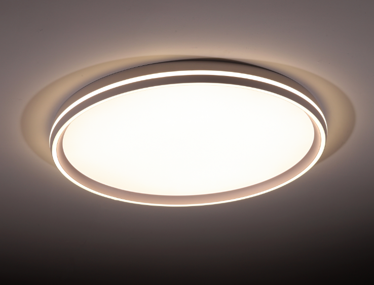 Minimalism Light Guide Plate Dual Auxiliary Light LED Lighting Fixture Ceiling Lamp