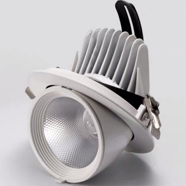 Modern Minimalist LED Spotlight 10W/20W/30W/40W White Embedded Elephant Trunk Light