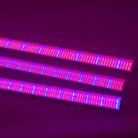 T20 LED Full Spectrum Greenhouse Succulent Coloring Fill Light Integrated Plant Growth Lamp Tube