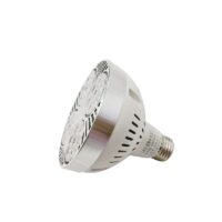 AL+PC Full Spectrum Greenhouse Fill Light LED Succulent Plant Handkerchief Lamp